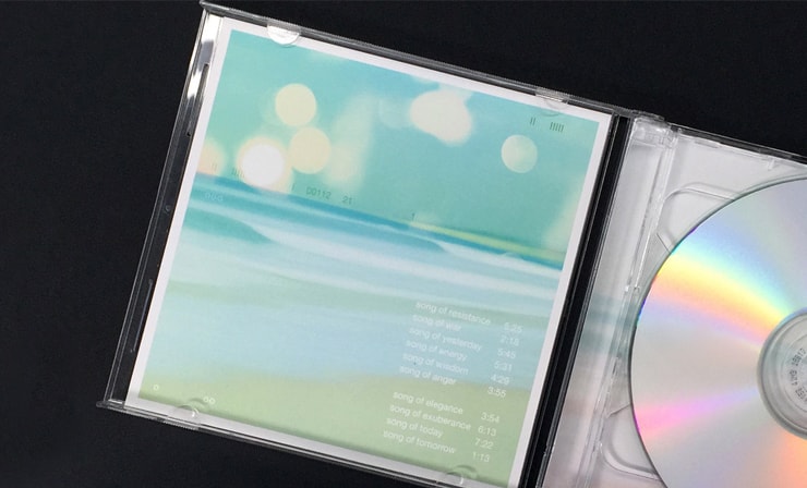 Vista Print Cd Sleeves