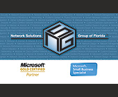 Frank Sardina Network Solutions Group of Florida - created November 2007