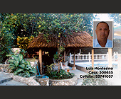 Luis Montesino - Professional Services