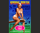 Felt Diving Board Spring Break - Bars Lounges