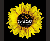 Club Space Sunrise Sunday Mornings - tagged with sunflower